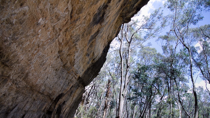 A woman in the distance is dwarfed by towering rock cliffs with bushland in the background