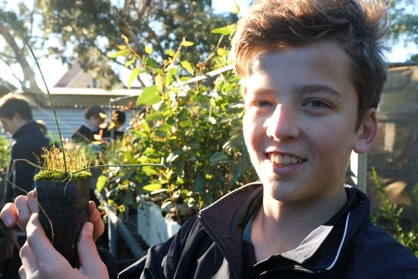 Portrait of boy on right holding small plant plant container with greenery and other students in background