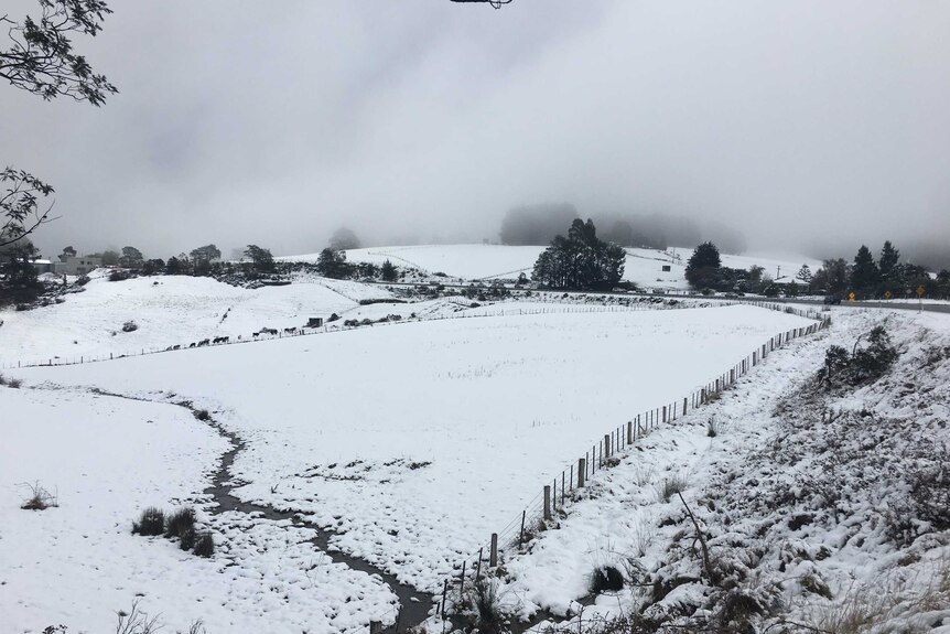Snow country in southern Tasmania