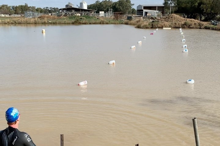 Juice bottles float in a row to create lane ropes in a  large brown dam surrounded by farm sheds and cattle yards.