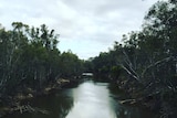 The Goulburn river at Shepparton