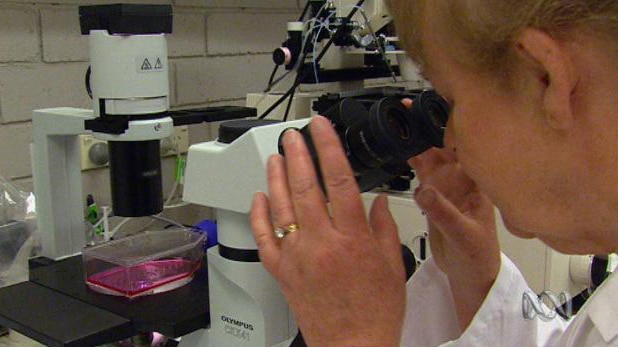 Woman looks into microscope