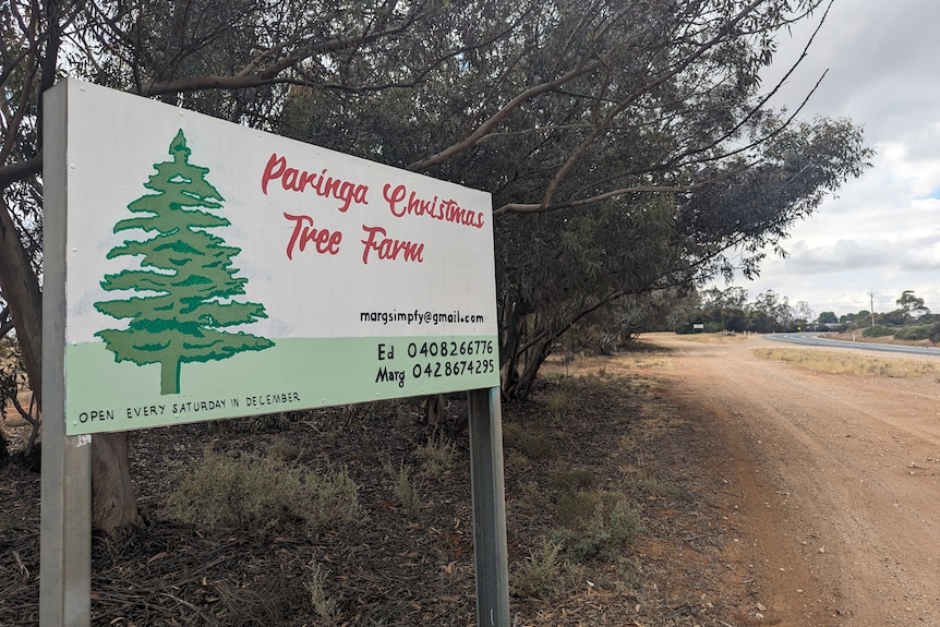A white sign with handpainted Christmas tree that reads Paringa Christmas Tree Farm