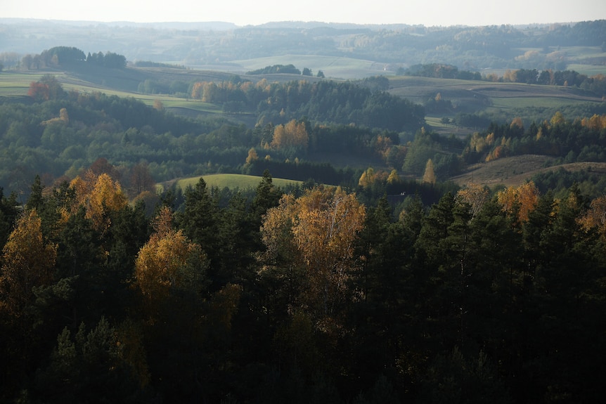 tree-covered hills, some autumnal