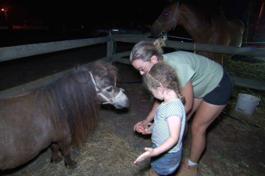 A woman and a girl feed a small horse