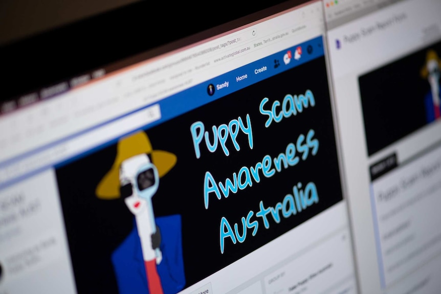 Puppy Scam Awareness Australia Facebook page on a computer.