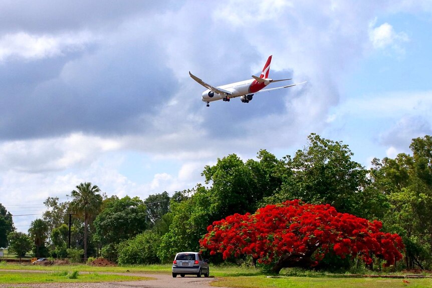 A Qantas plane is seen flying over a tree line with a flametree and parked car in the foreground.