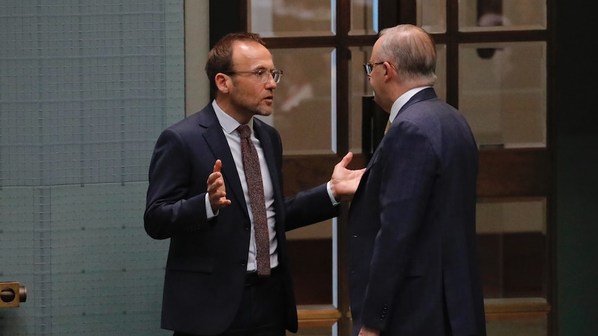 Greens leader Adam Bandt holds his arms out wide while speaking with Anthony Albanese in the House of Representatives