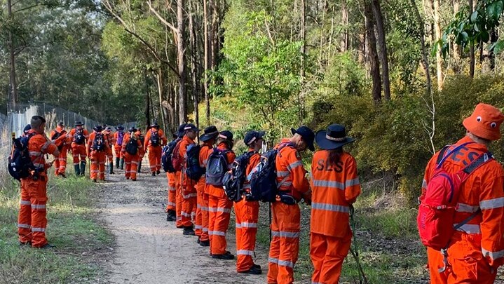 Dozens of SES volunteers line up, preparing to search bush at Dularcha National Park.