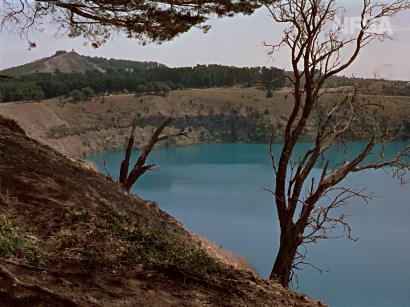 Una antigua fotografía restaurada de un lago azul con dos árboles sin hojas en primer plano y bordes de cráteres empinados al fondo.