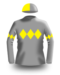 Yellow and grey jockey silks.