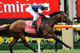 Green Moon wins the 2012 Melbourne Cup