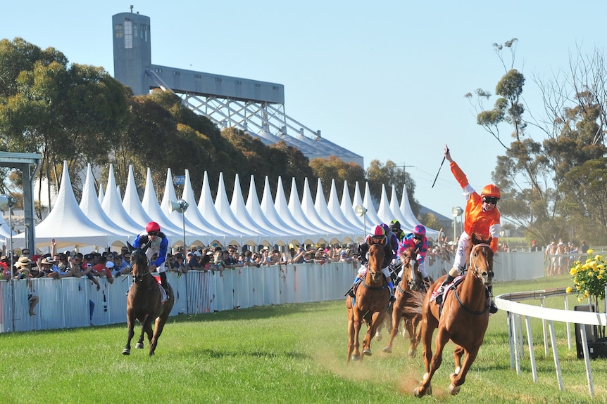 Horses on the track with a big crowd on the sidelines. Lots of colour.