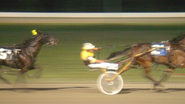 Newcastle trots off on Saturday nights