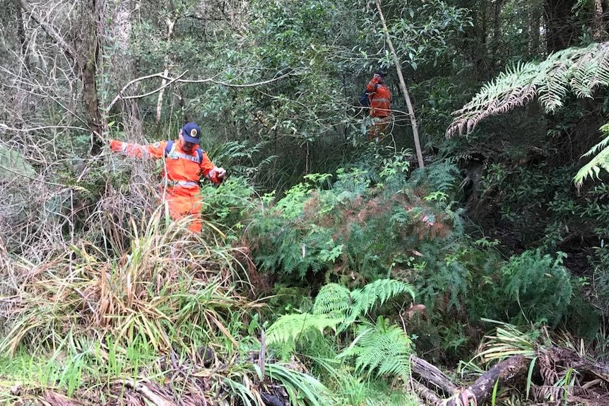 People in orange jumpsuits in the bush