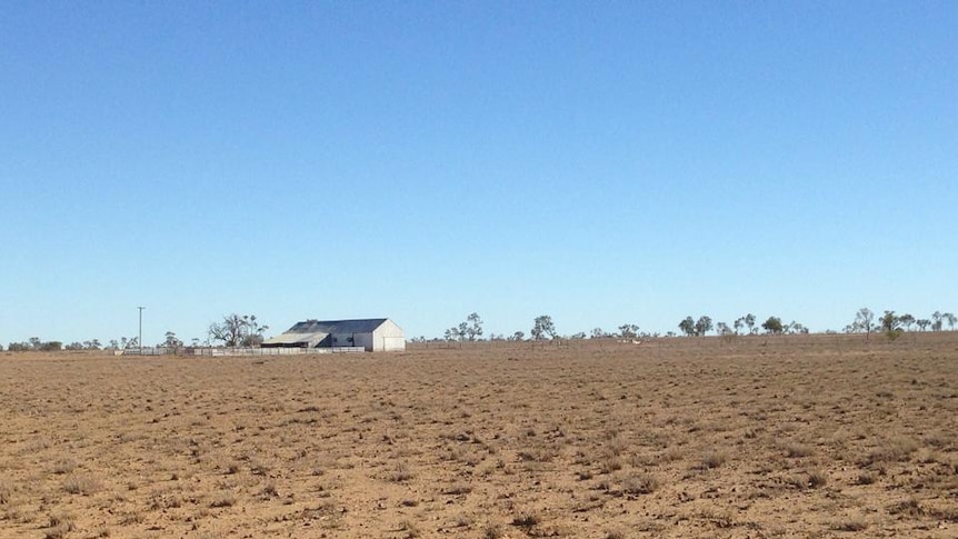 A very dry landscape at Longreach, Queensland.
