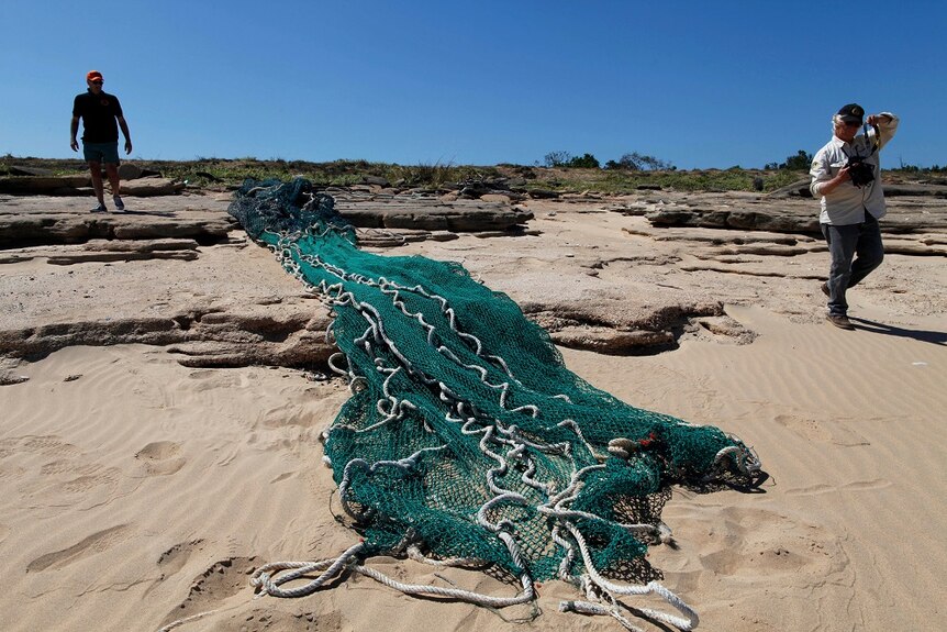 A large green commercial fishing net stretches over rocks on a beach.