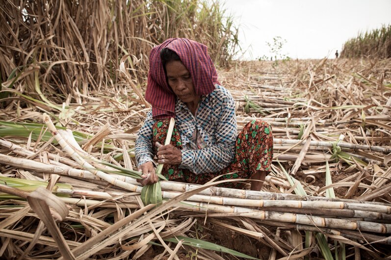 A sugar cane worker in Kampong Speu province, Cambodia.