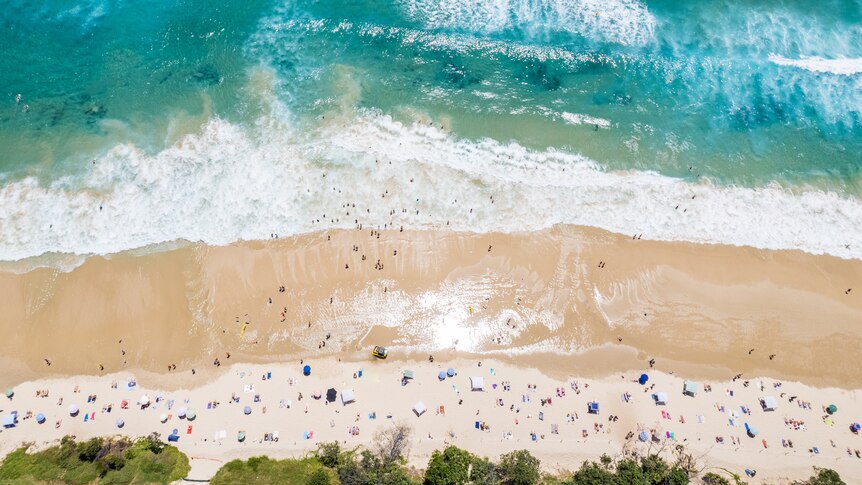 Safer beaches and guilt-free seafood - ABC listen