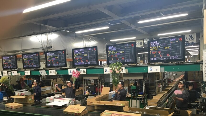 Flower market in Japan