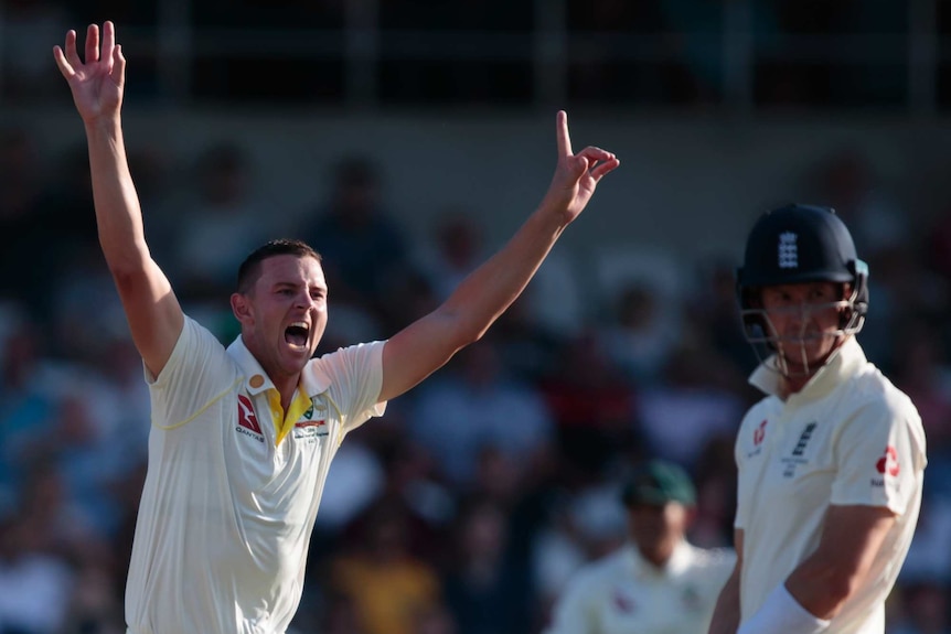 Australia bowler Josh Hazlewood raises both arms as England batsman Joe Denly looks behind himself.