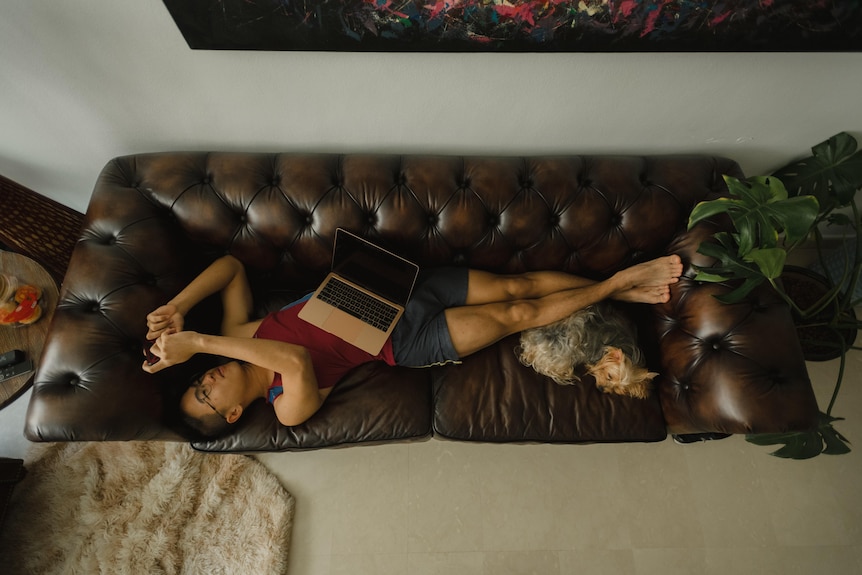 Woman lying down on brown leather couch with laptop and small dog 