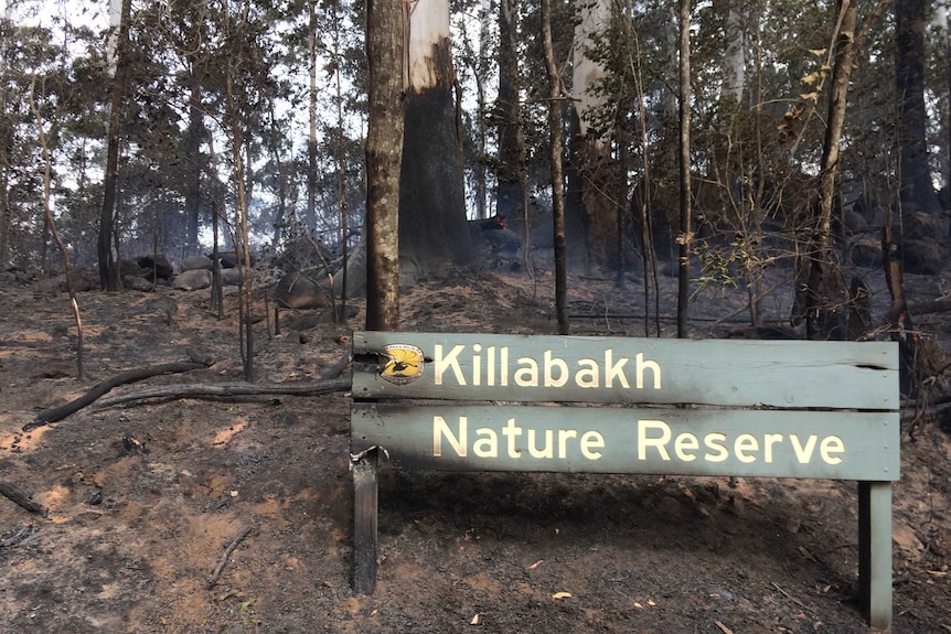 Nature reserve sign with burnt edges and smouldering ground after Comboyne fires.