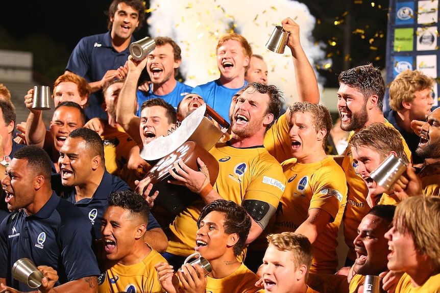 Defending champions ... Brisbane City celebrates its 2014 title victory