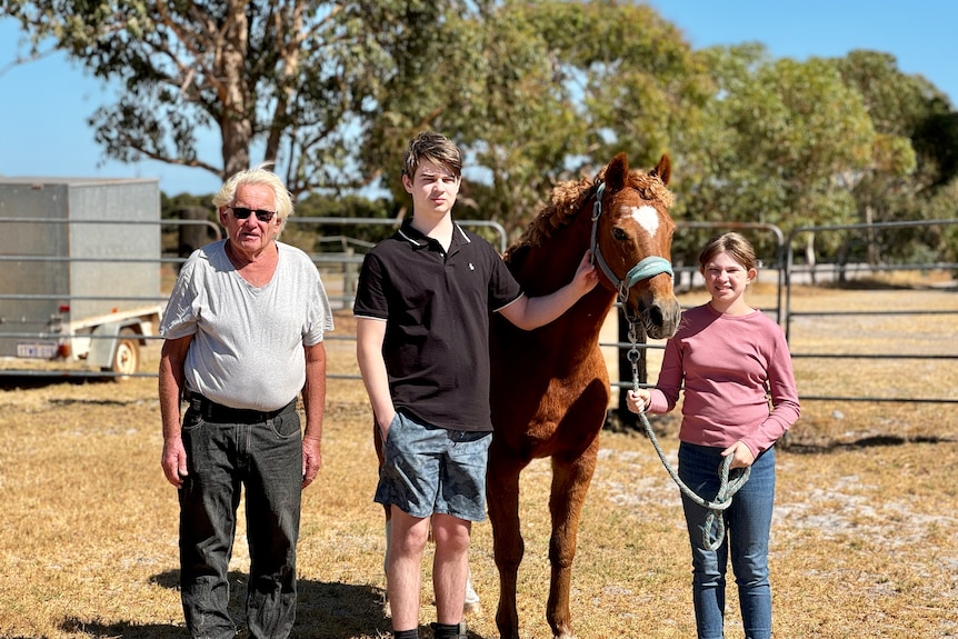An older man stands next to a horse and a teenage boy and girl