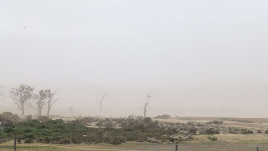 Dust at Campbell Town