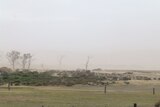 Dust at Campbell Town