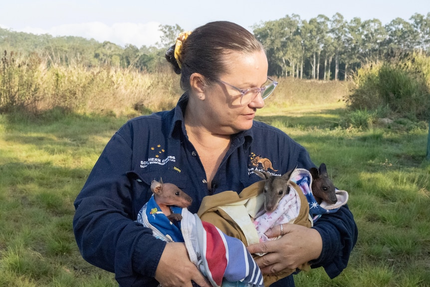 A woman stands in a field, holding three small wallaby joeys, bundled in fabric pouches