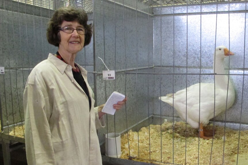 Woman stands next to champion geese.