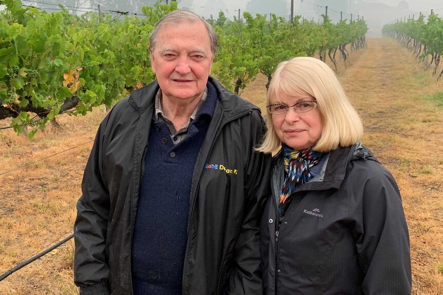 man and woman standing in their vineyard.