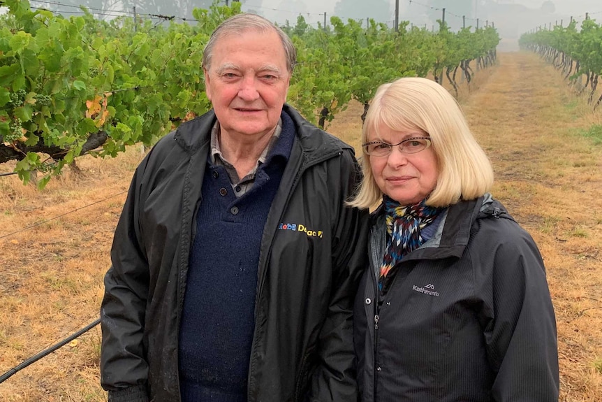 man and woman standing in their vineyard.