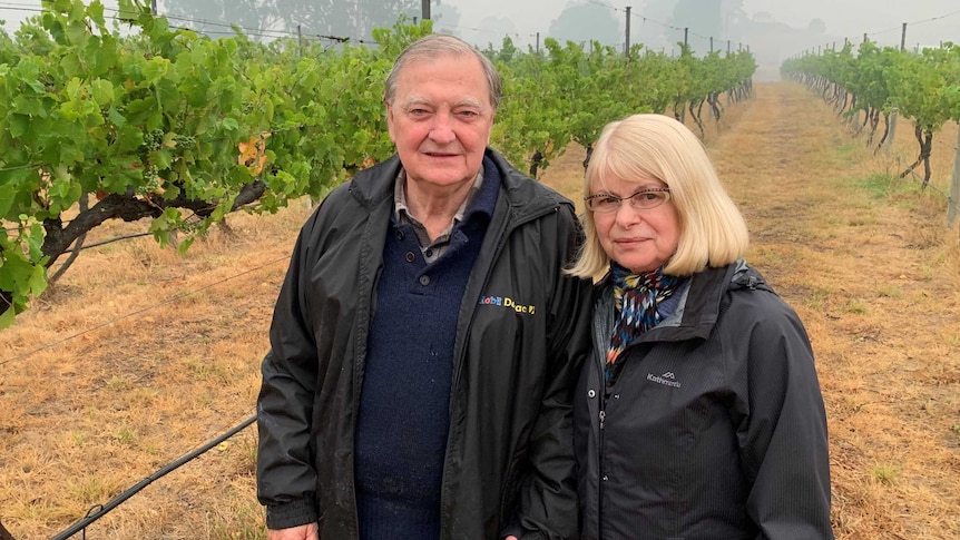 man and woman standing in their vineyard.