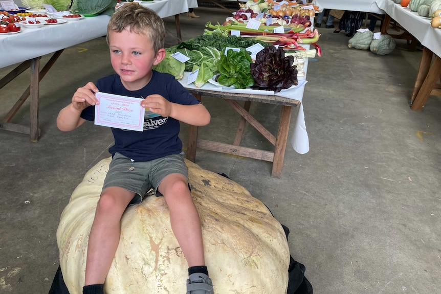 A young boy sitting on a giant pumpkin he grew and entered into the Orbost show