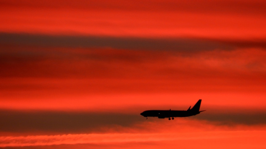 A plane lands at Sydney Airport.