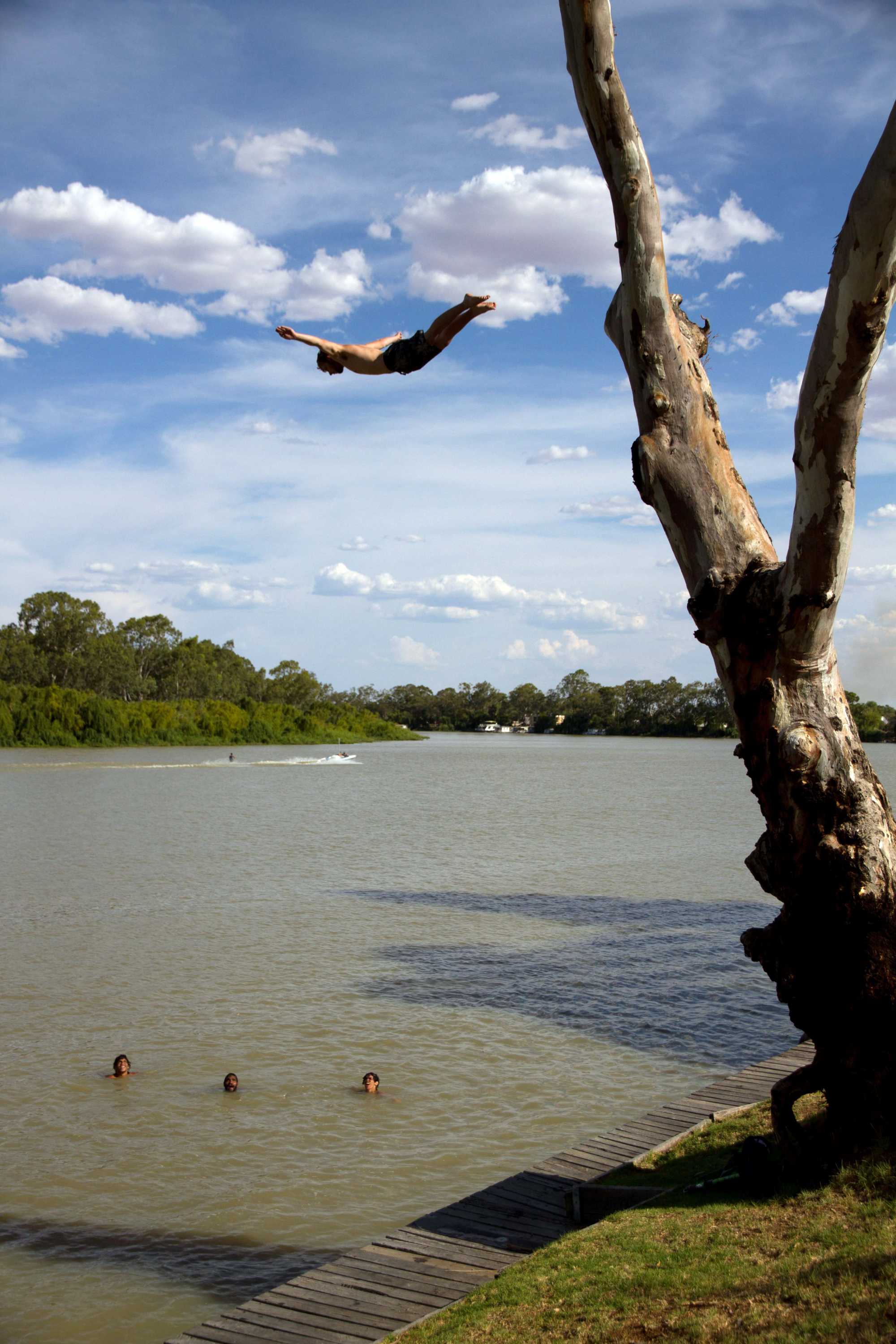 Un árbol al lado de un río.