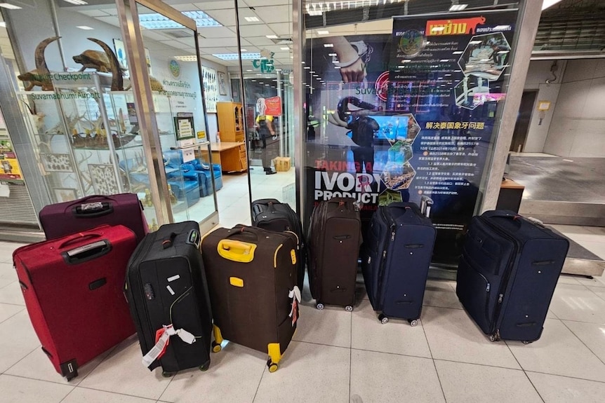 Several large travel suitcases stand next to a shop inside a Thai airport.
