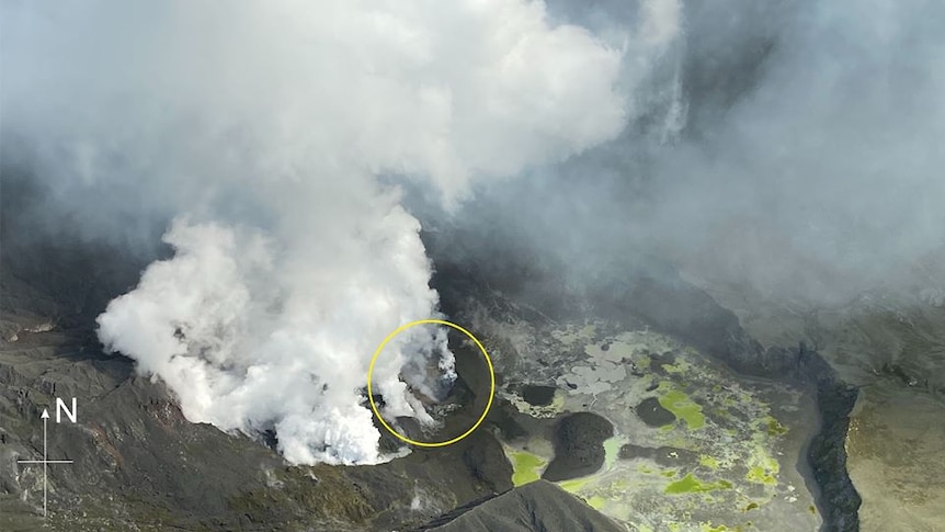 An aerial photo shows the grey-black vent of Whakaari-White Island spewing white gas from its mouth.