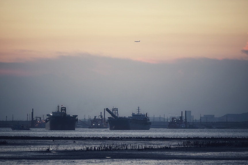 A number of boats lined up on the water as a plane flies ahead.