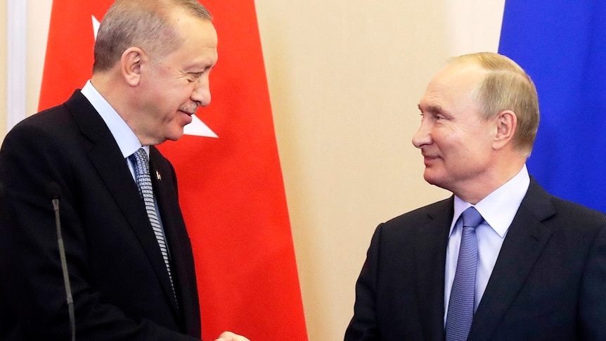 Russia's president and Turkey's president shake hands.