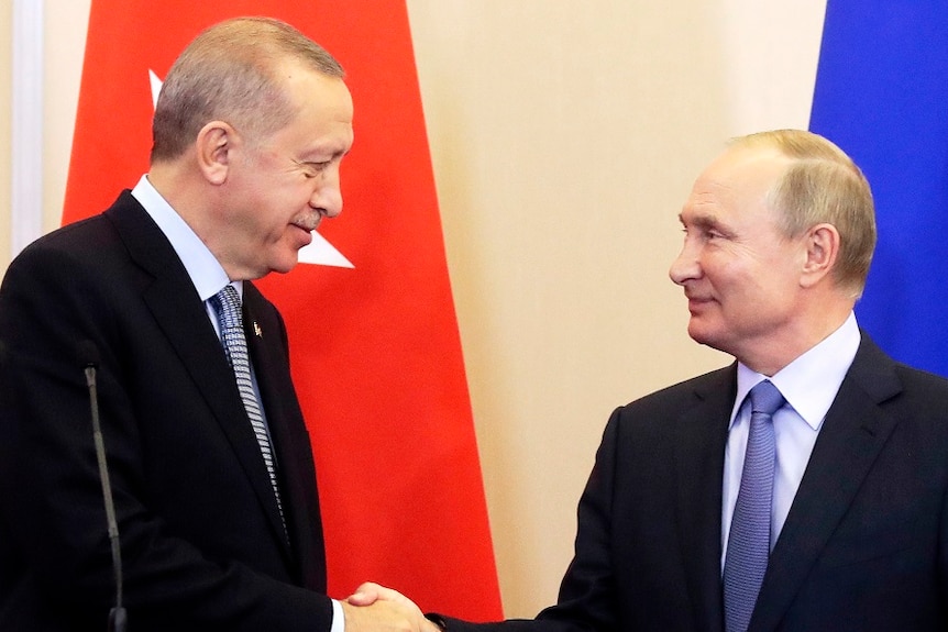 Russia's president and Turkey's president shake hands.