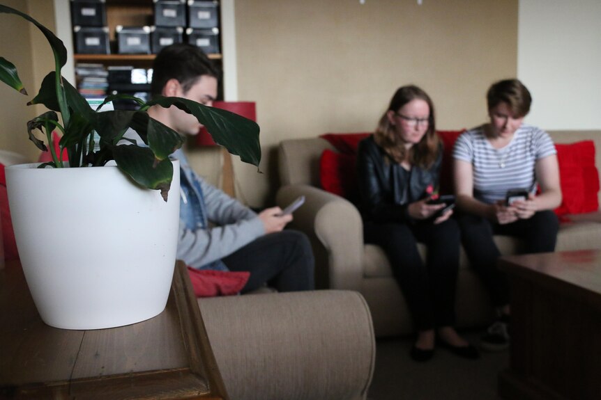 Three teenagers sit in a lounge room and stare at their phones.