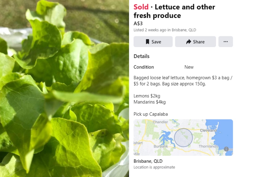 A screenshot of a Facebook Marketplace ad for lettuce.