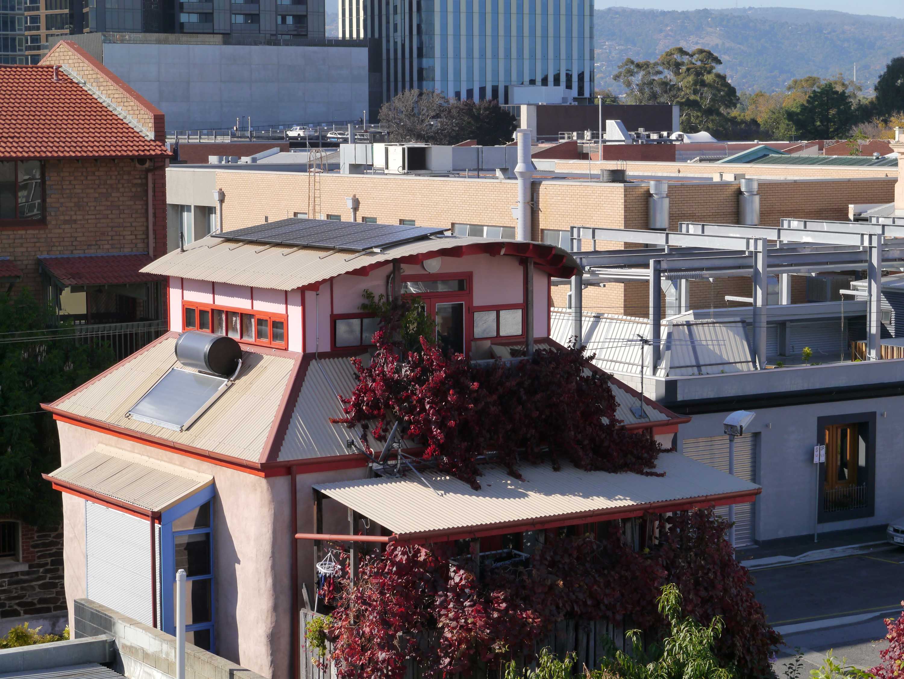 A modern looking home with a lush garden and solar panels on the roof.
