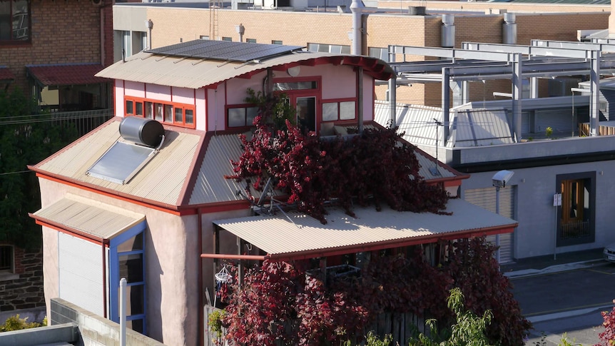 A modern looking home with a lush garden and solar panels on the roof.