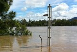 The Fitzroy River is still expected to peak at Rockhampton at 7.8 metres later this week.