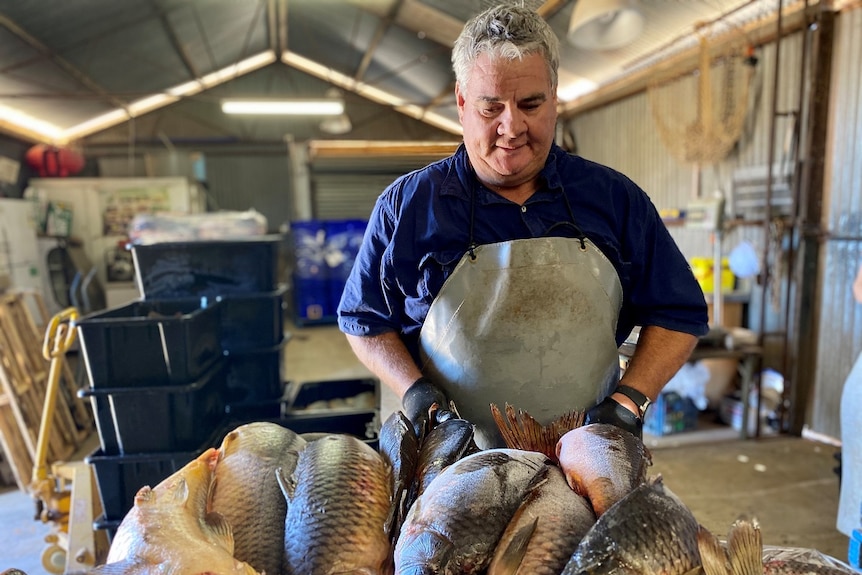 A fisherman backing carp for the fertiliser market.